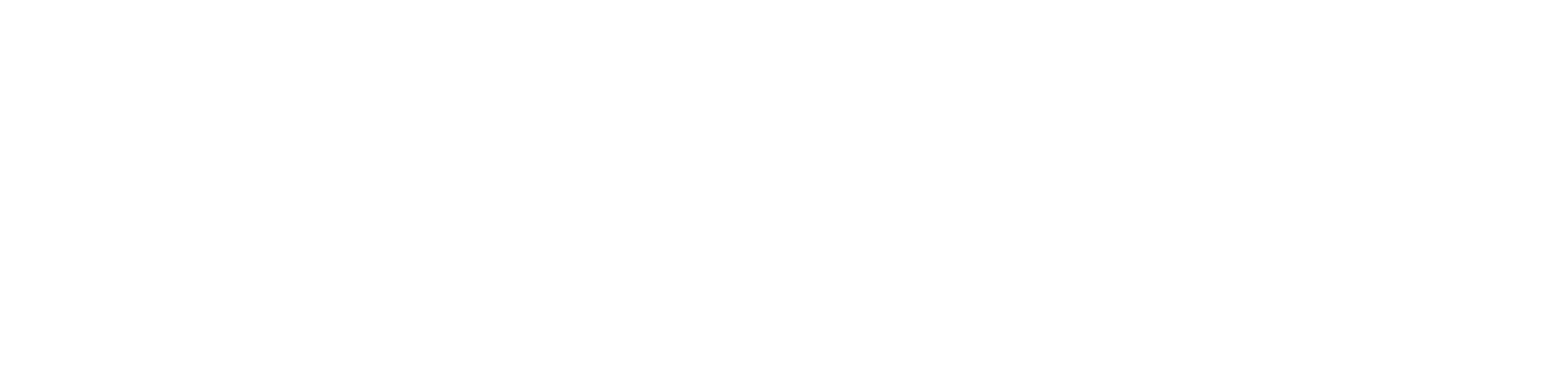 SPARTAN™ logo