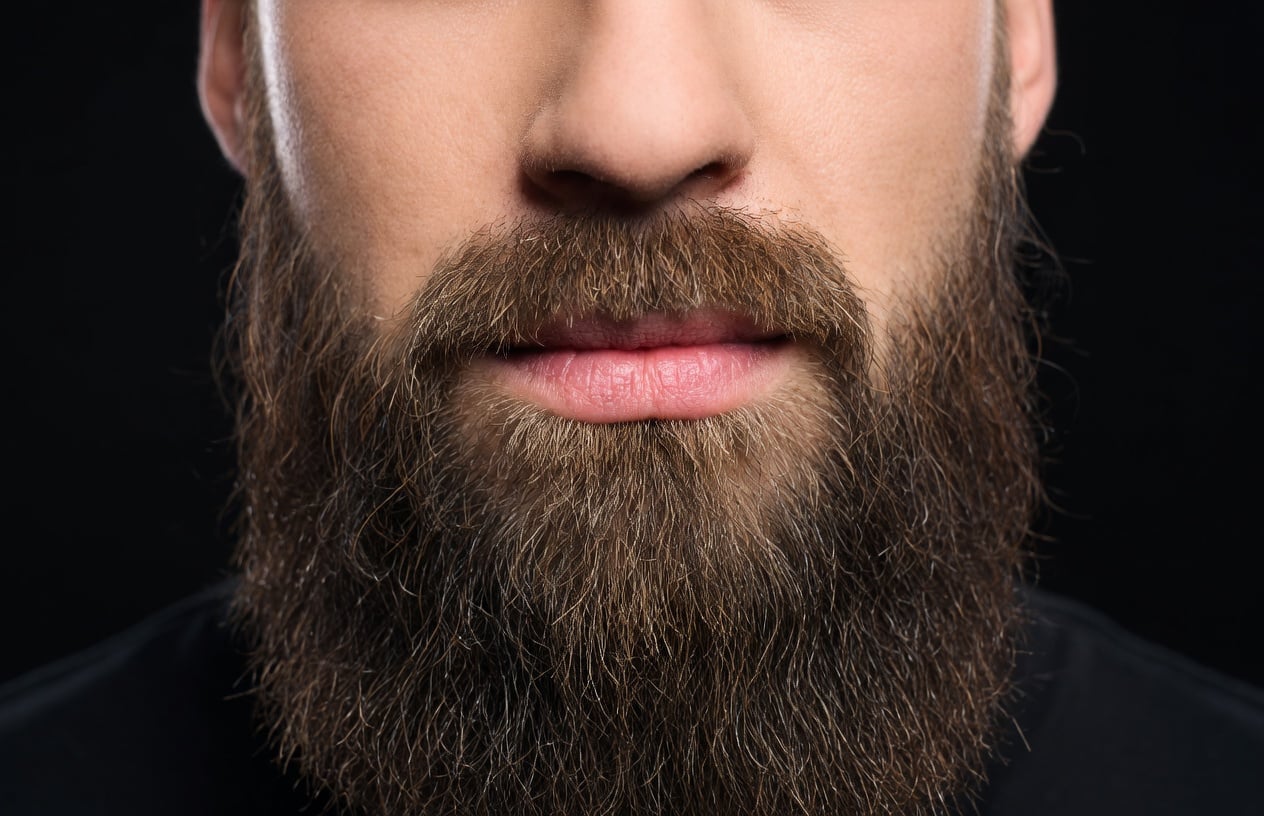 man beard after grooming and applying beard oil.jpeg